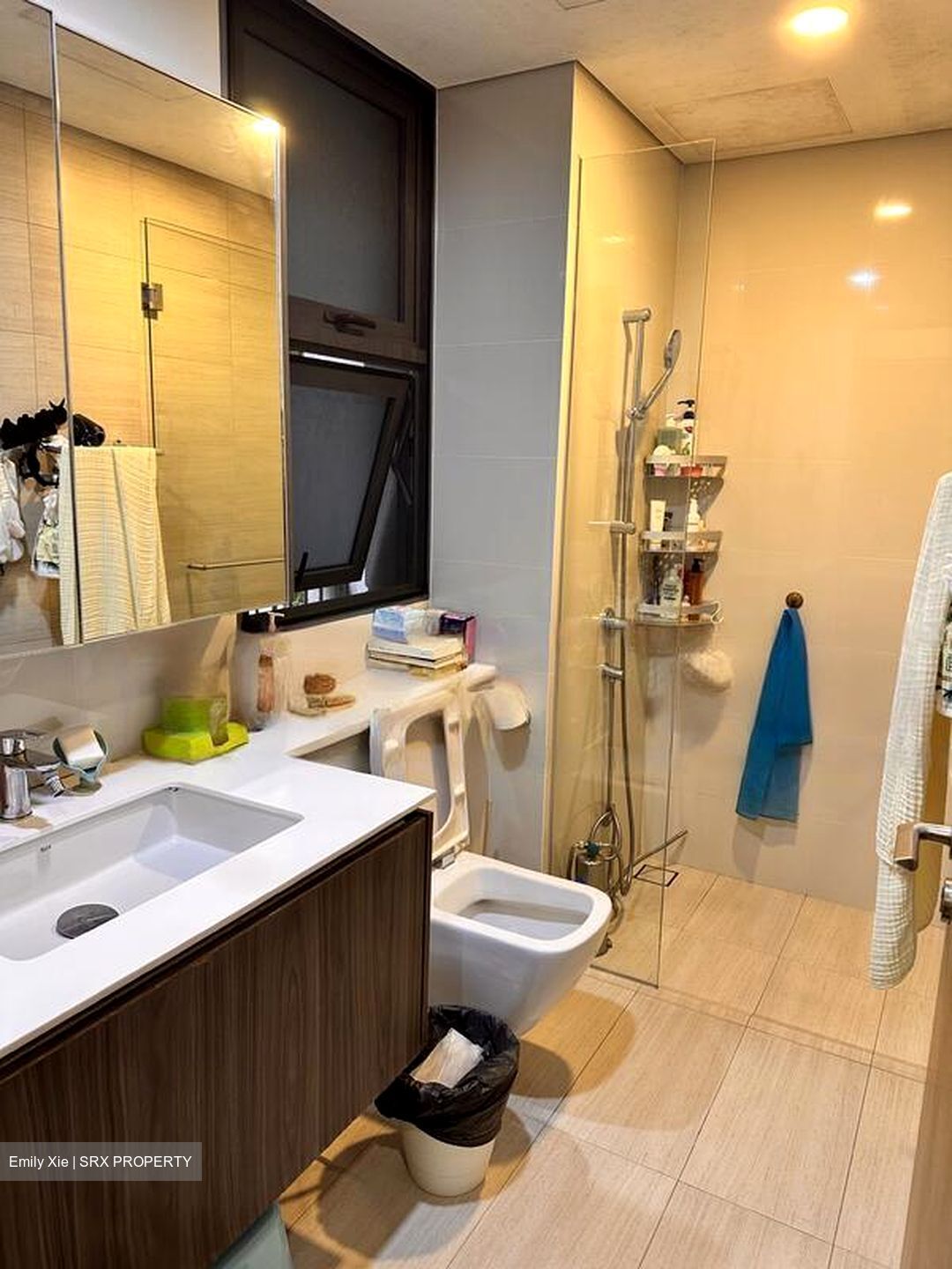 Lakeville (D22), Condominium #615812591
